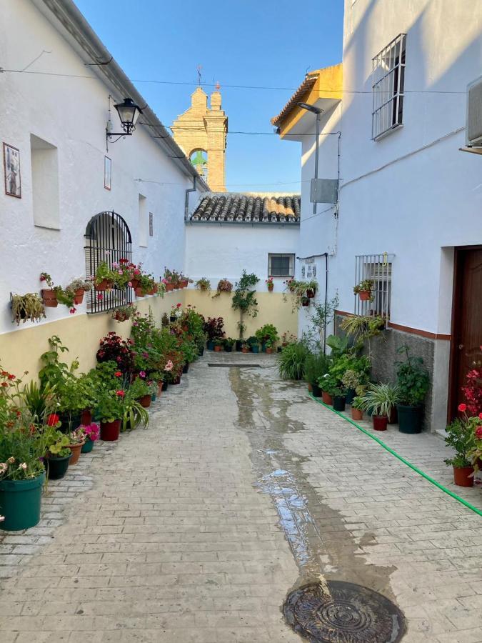 Apartamento Nuevo En Sierra Sur Sevilla Villanueva de San Juan Exterior photo